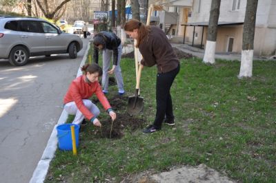 Acțiuni de salubrizare, 29.03.14