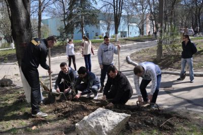 Acțiuni de salubrizare, 29.03.14