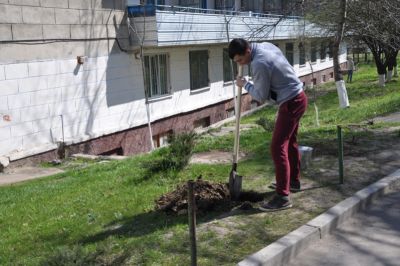 Acțiuni de salubrizare, 29.03.14