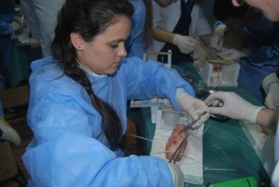 BASIC SURGICAL SKILLS 2014