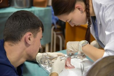 Basic Surgical Skills la cea de-a VII-a ediție